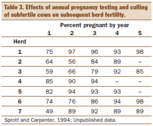 Determining Pregnancy in Cattle